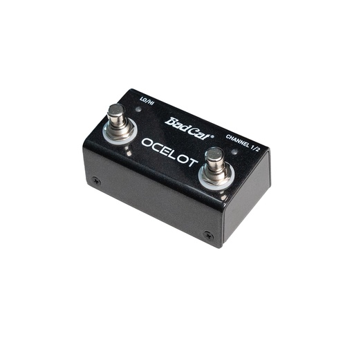 Shop | Bad Cat Amplifiers